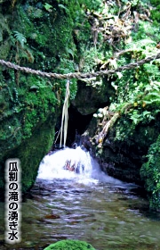 Un soin particulier est accordé à l'eau  de l'appareil à Yatsuhashi. Elle est livrée quotidiennement des cascades de Uriwari à Wakasa. Nommée "l'eau sacrée de la forêt" par les habitants, elle serait miraculeuse pour les champs et aurait des pouvoirs de guérison.